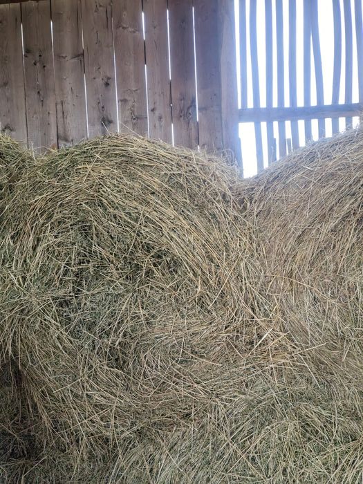 Vand baloti de lucerna