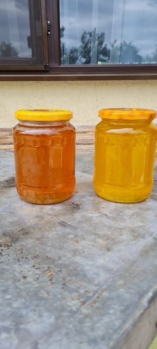 Vand miere de mana, rapita, salcam, poliflora, tei, floarea soarelui