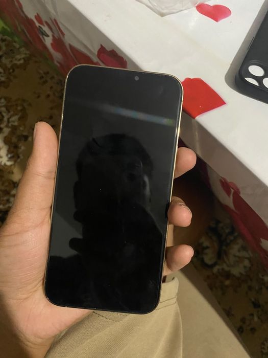 iphone 12 pro maks
