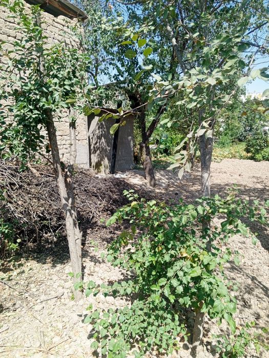 Kitob tumani bektemir qishlogi