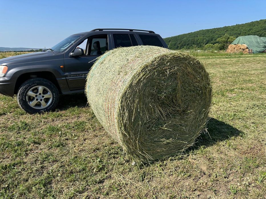 Vand Baloti de Lucerna