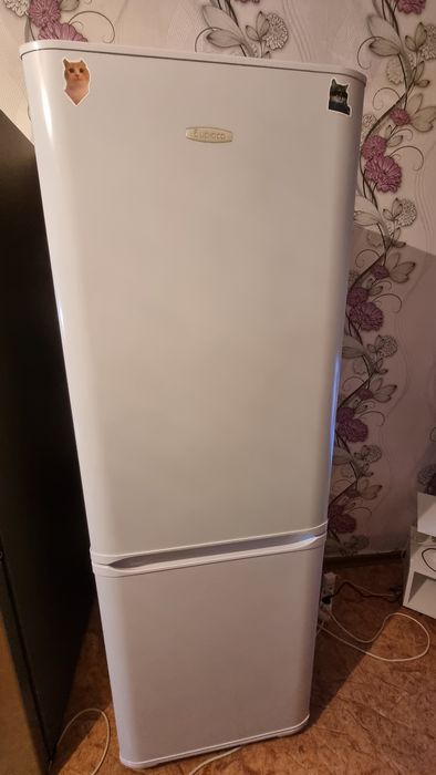 Мощный Холодильник Бирюса