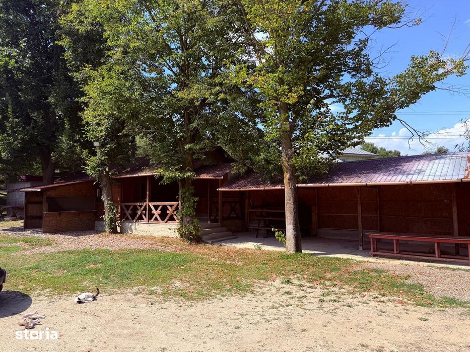 Teren Bazar Darmanesti