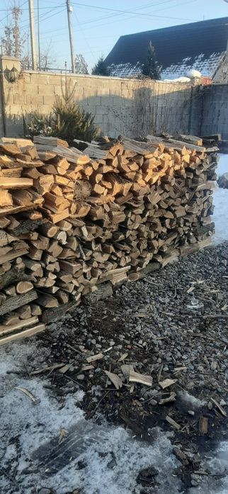 Дрова Алматы и область