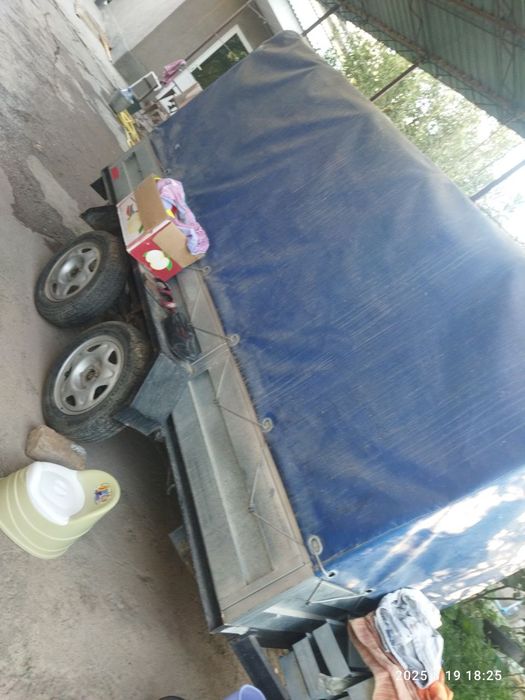 Pashti yangi yurmagan bir joyda turgan