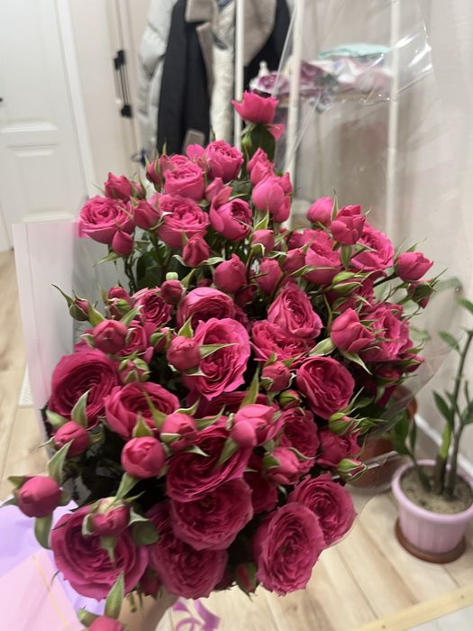 Цветы без гарантий