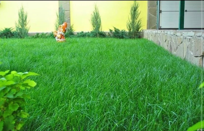 Газон посев рулон полив микроклимат