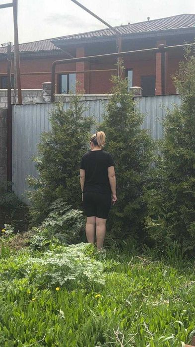 Продам Елки 1,7м до 3м