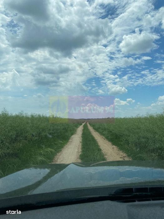 6,26 ha lângă DEx12 Pitești | 2,95 €/mp | acces DJ Pitești–Craiova