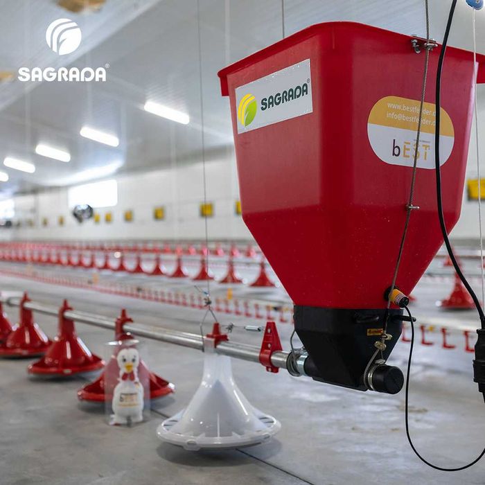 Оборудование SAGRADA для выращивание птицы