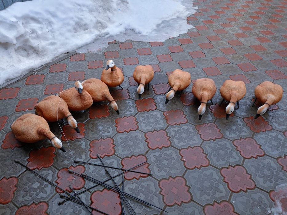 Срочно! Сатылады