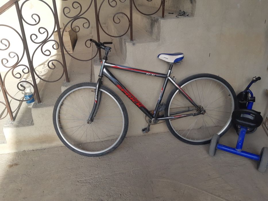 Велик.            .