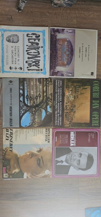 Vand discuri de vinil