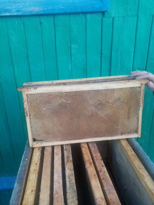 Продам улья и рамки