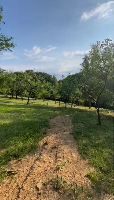 Teren de vânzare în Sinteu