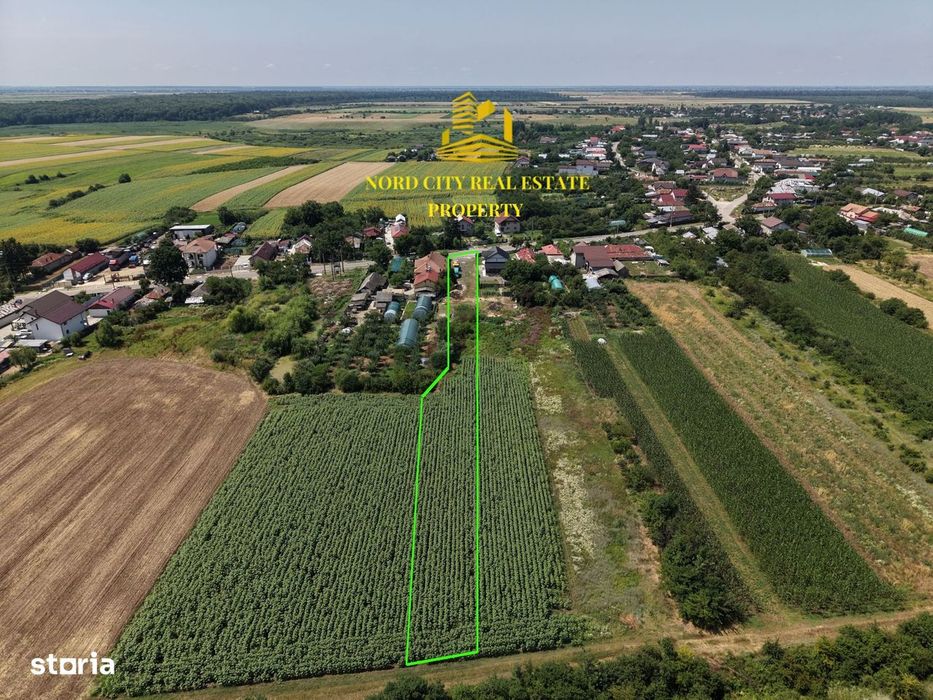 Teren 2.700 mp Ciocănești - Urziceanca | La asfalt
