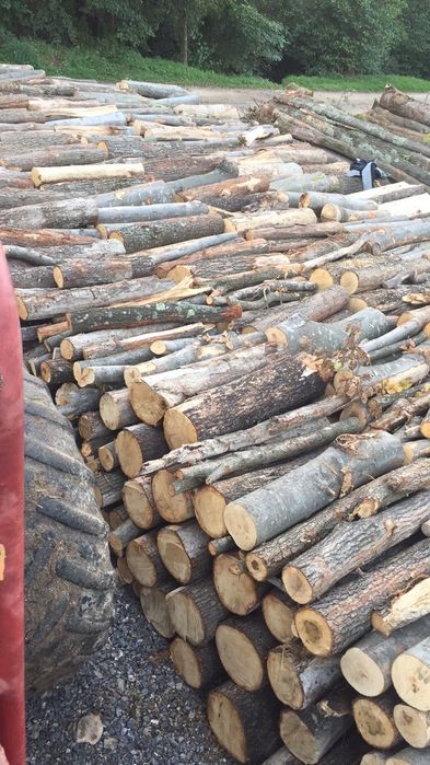 Lemn de foc transport inclus