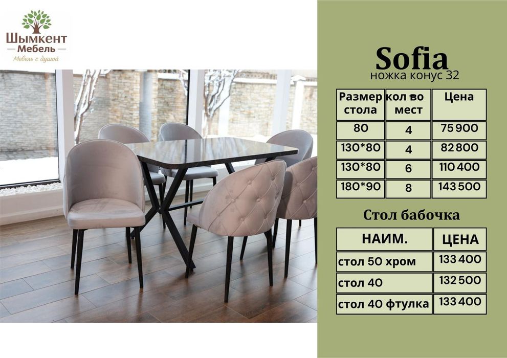 Стол и стулья комплект «Бабочка»