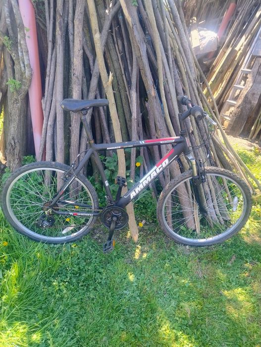 Bicicleta Marin...