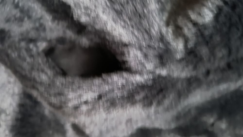 Geacă imitație blană, în stare foarte bună. Blana se comportă foarte b