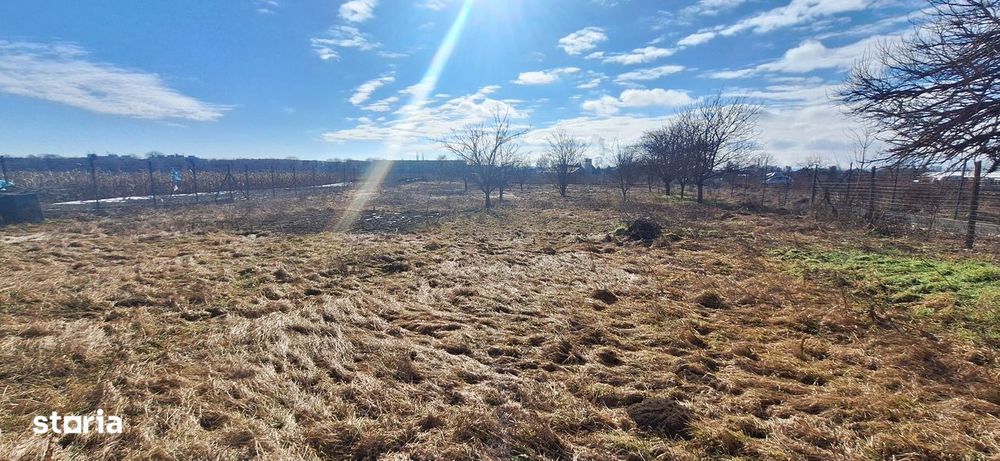 Casa individuală cu teren generos