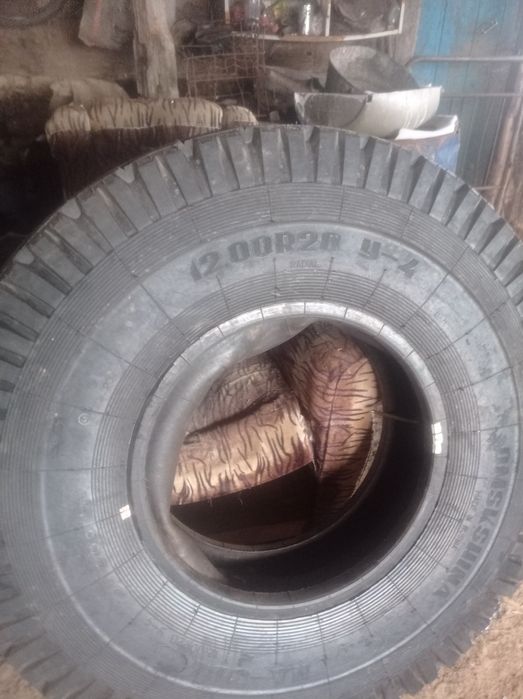 Шины на грузовой транспорт