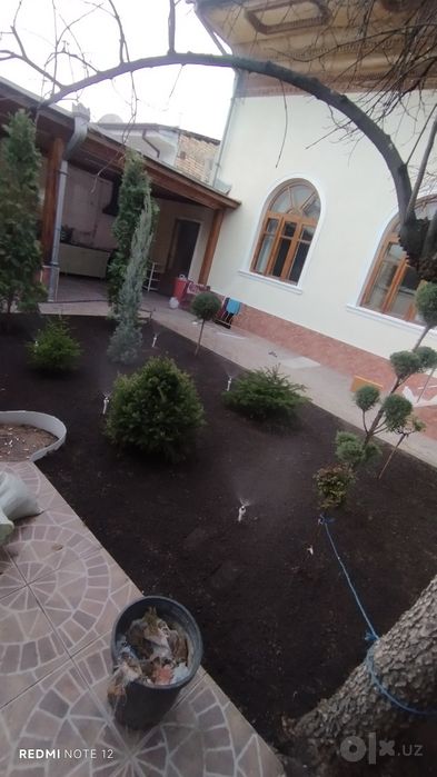 Gazon rulon va landshaft dizayni xizmatlari