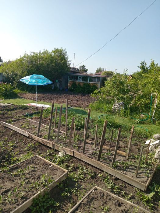 Срочно продам дачу