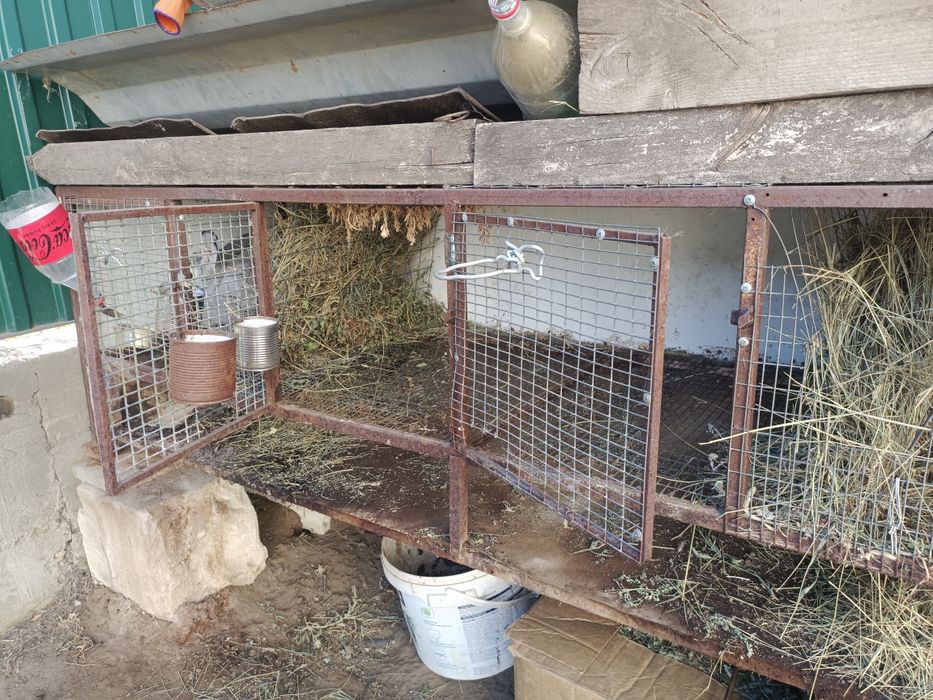 Крольчатник - клетка