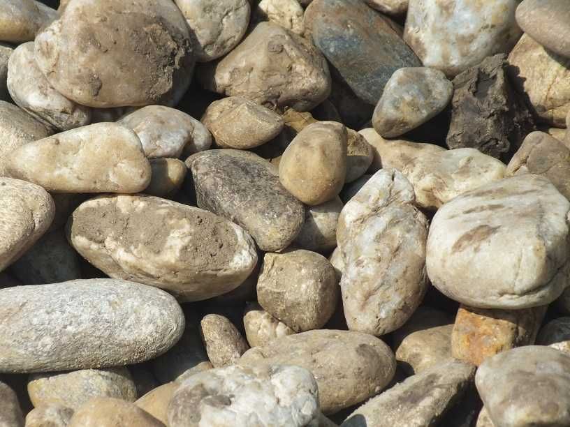 Nisip, piatra drena, pamant negru vegetal de padure, gazon, gradina