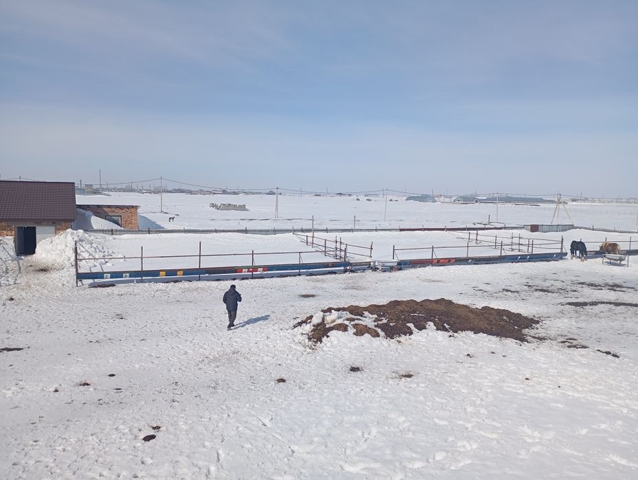 Откорм база вблизи Астаны