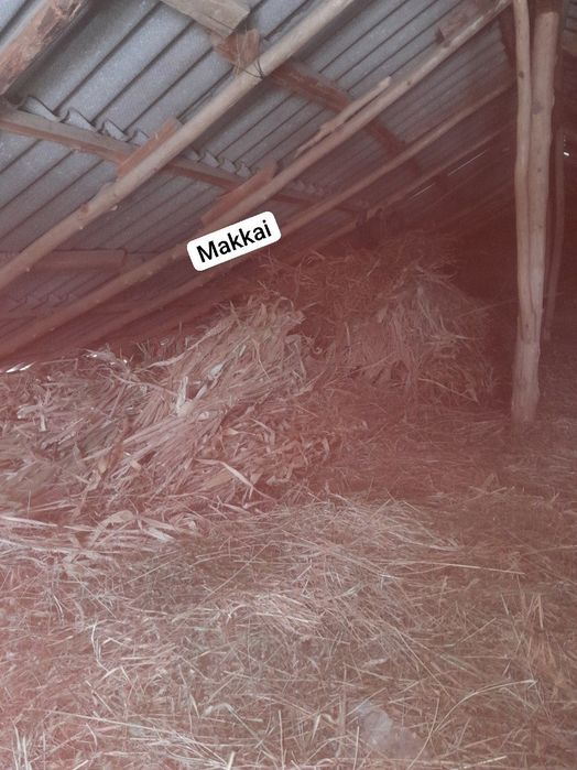 Beda 100 ta va yemishlar 40ta