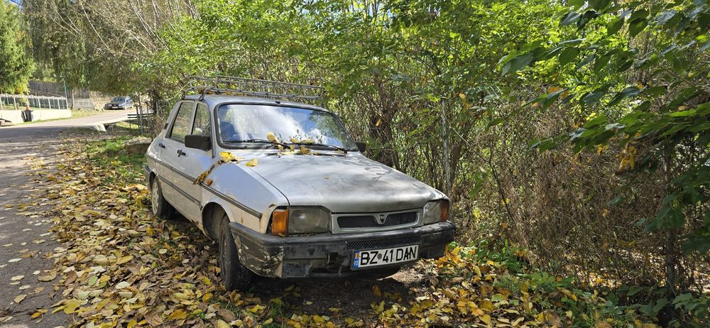 Dacia 1310 pentru RABLA