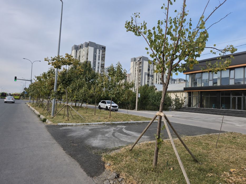 Срочно Сдаётся помещения под супермаркет, школа 1ая линия