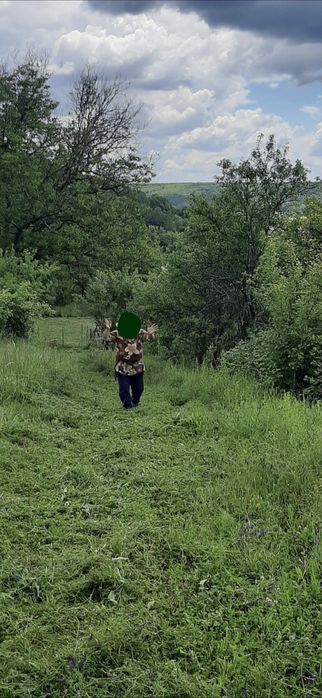Vânzare teren Bascov Argeș