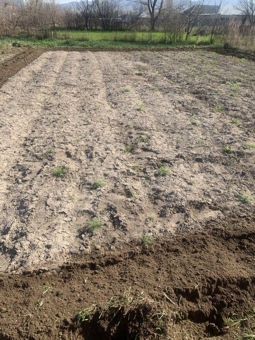 огород траншеи септики