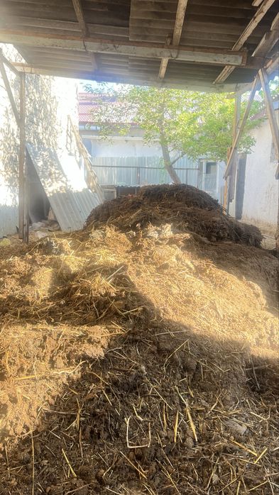 Pori,nuri mutloqa tekin