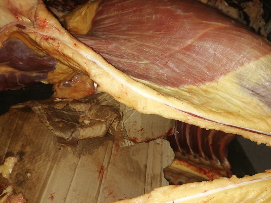 Конина на согым..