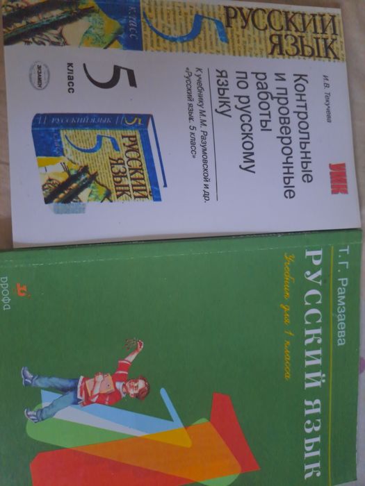 Русский язык 1 класс и 5 класс + внеклассное чтение для школьников
