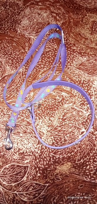 Продам ошейник и поводок