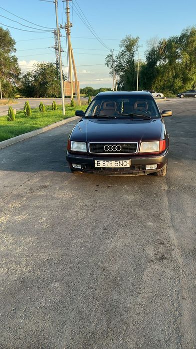 Один хозяин в Казахстане