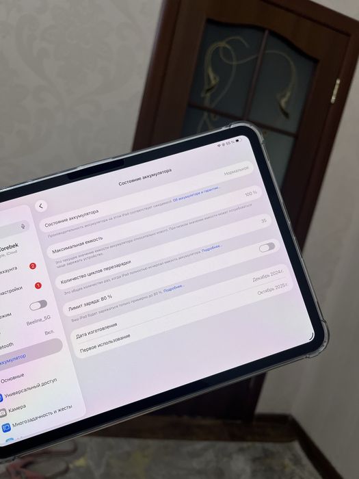 Ipad Pro 11 M4 256gb