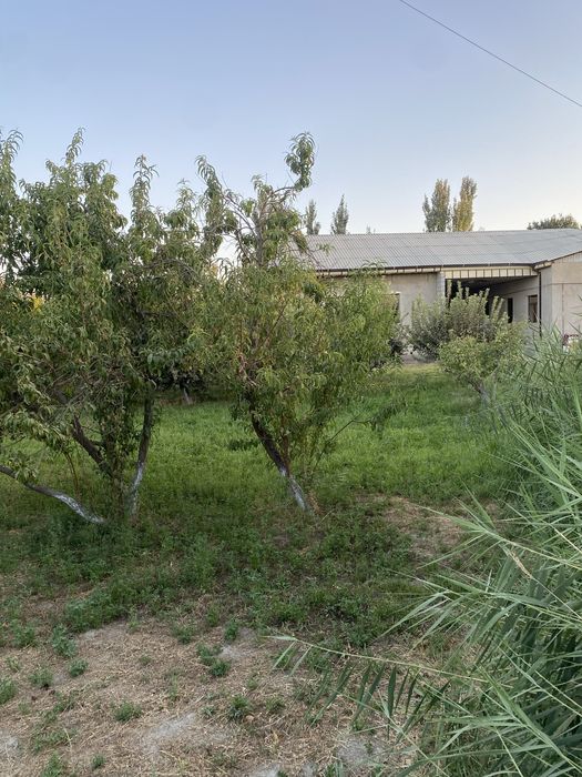 Yer maydoni sotiladi (7,5)sotix