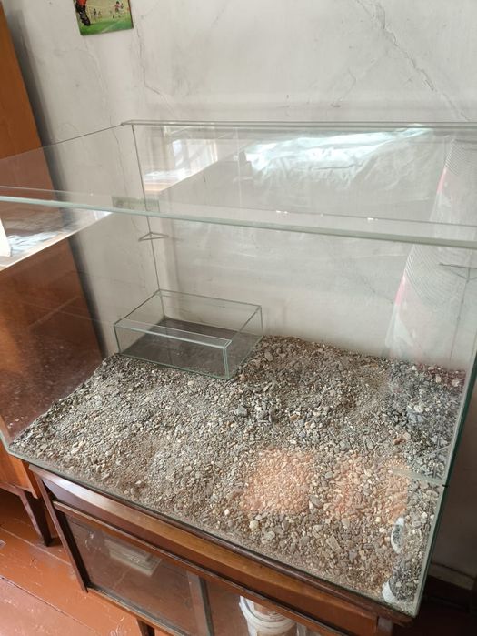 Продам террариум