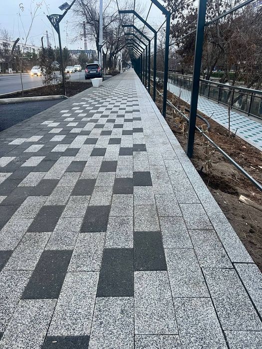 Бурусчатка присовни