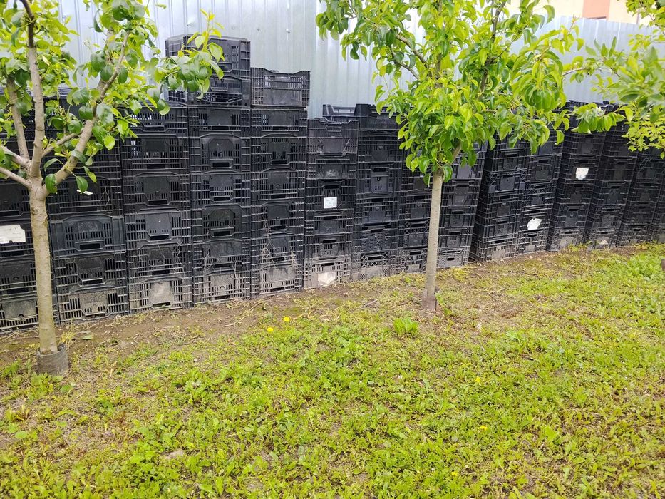 Lazi de plastic pentru depozitare, foarte solide