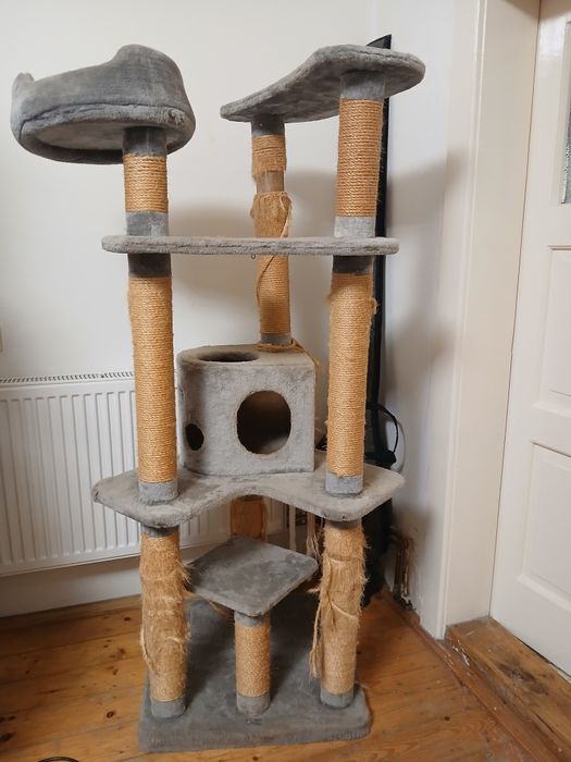 Loc de joaca pt pisici