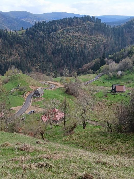 Teren Cerc Valea Ierii Cluj