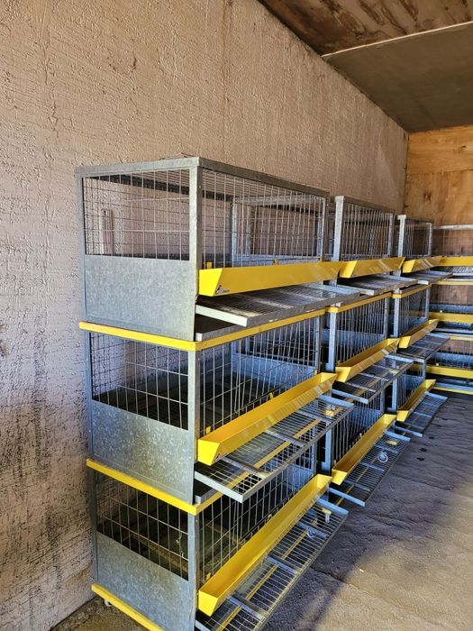 Клетки для крольчят, утят, куриц