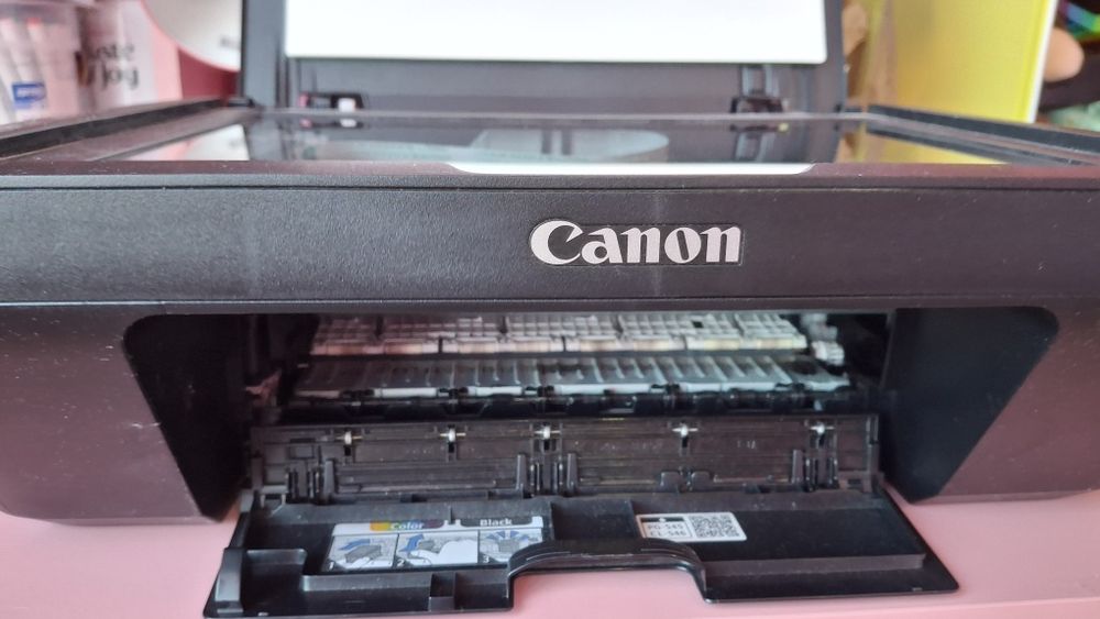 Принтер Canon pixma mg2550s